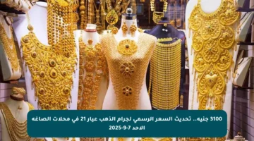 3100 جنيه.. تحديث السعر الرسمي لجرام الذهب عيار 21 في محلات الصاغة الأحد 7-9-2025